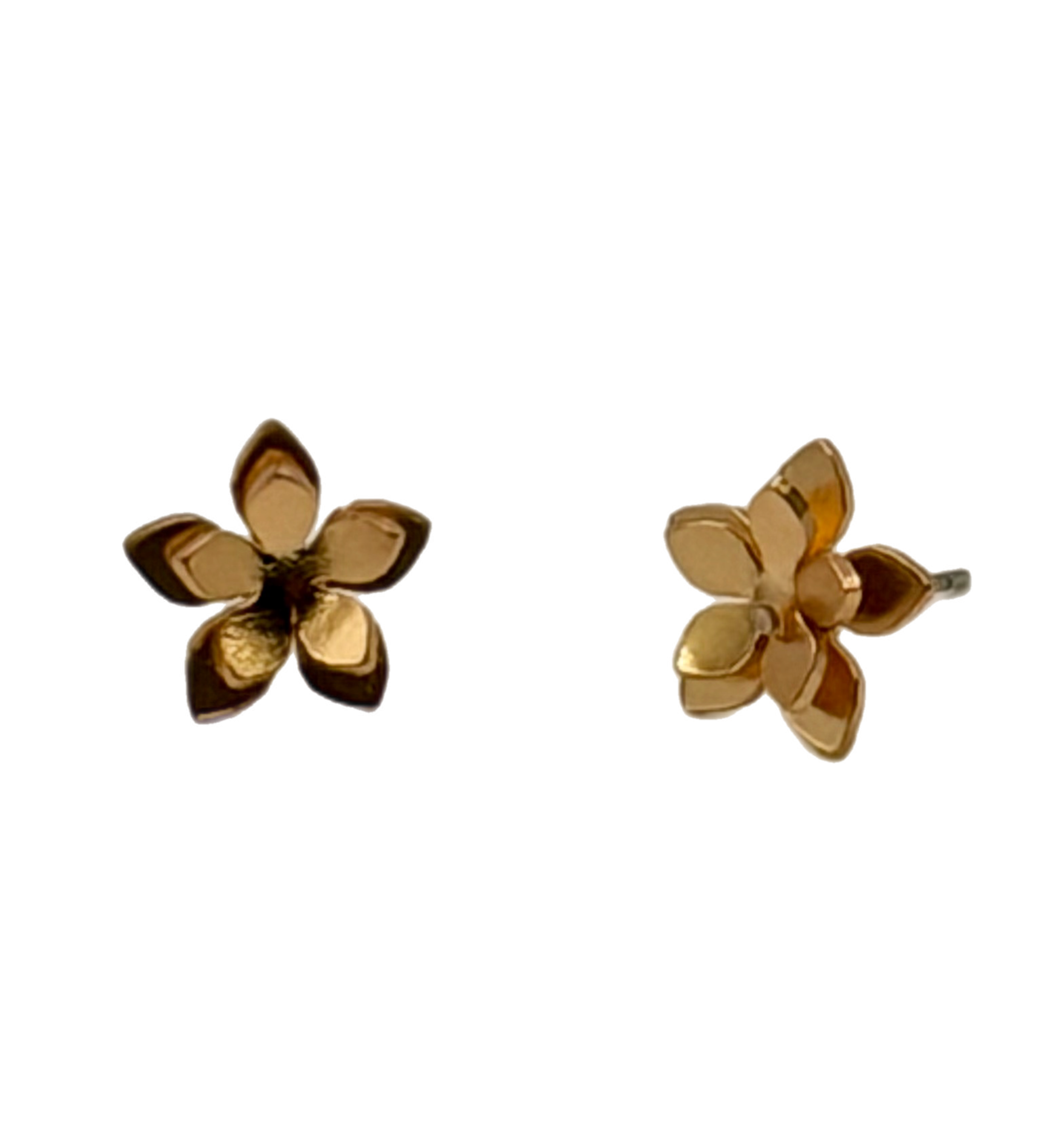 Mini Guayacán Flower Stud Earrings
