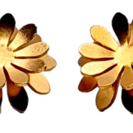 Water Lily Jewelry Earrings – Victoria Amazonica