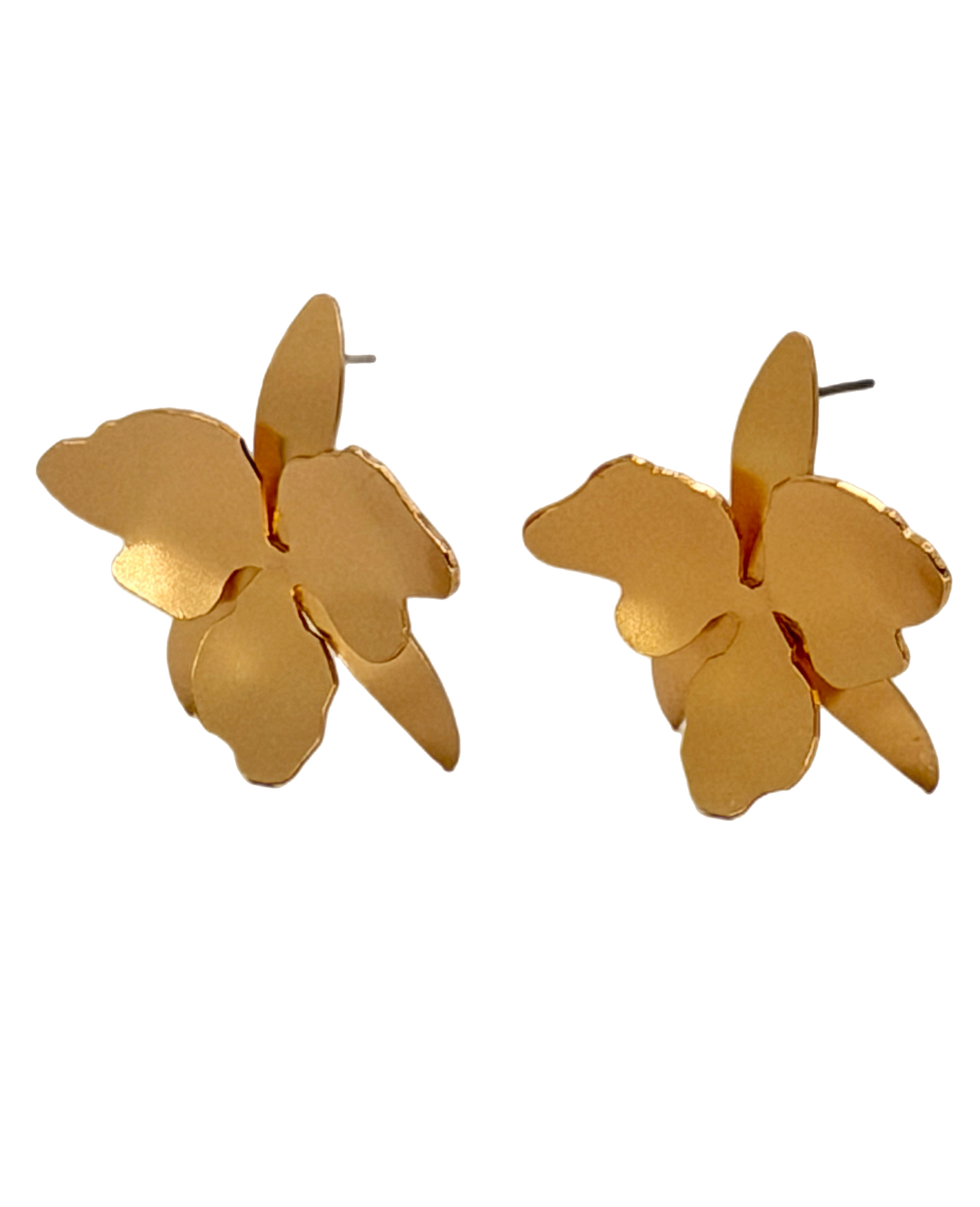 Cattleya Orchid Earrings