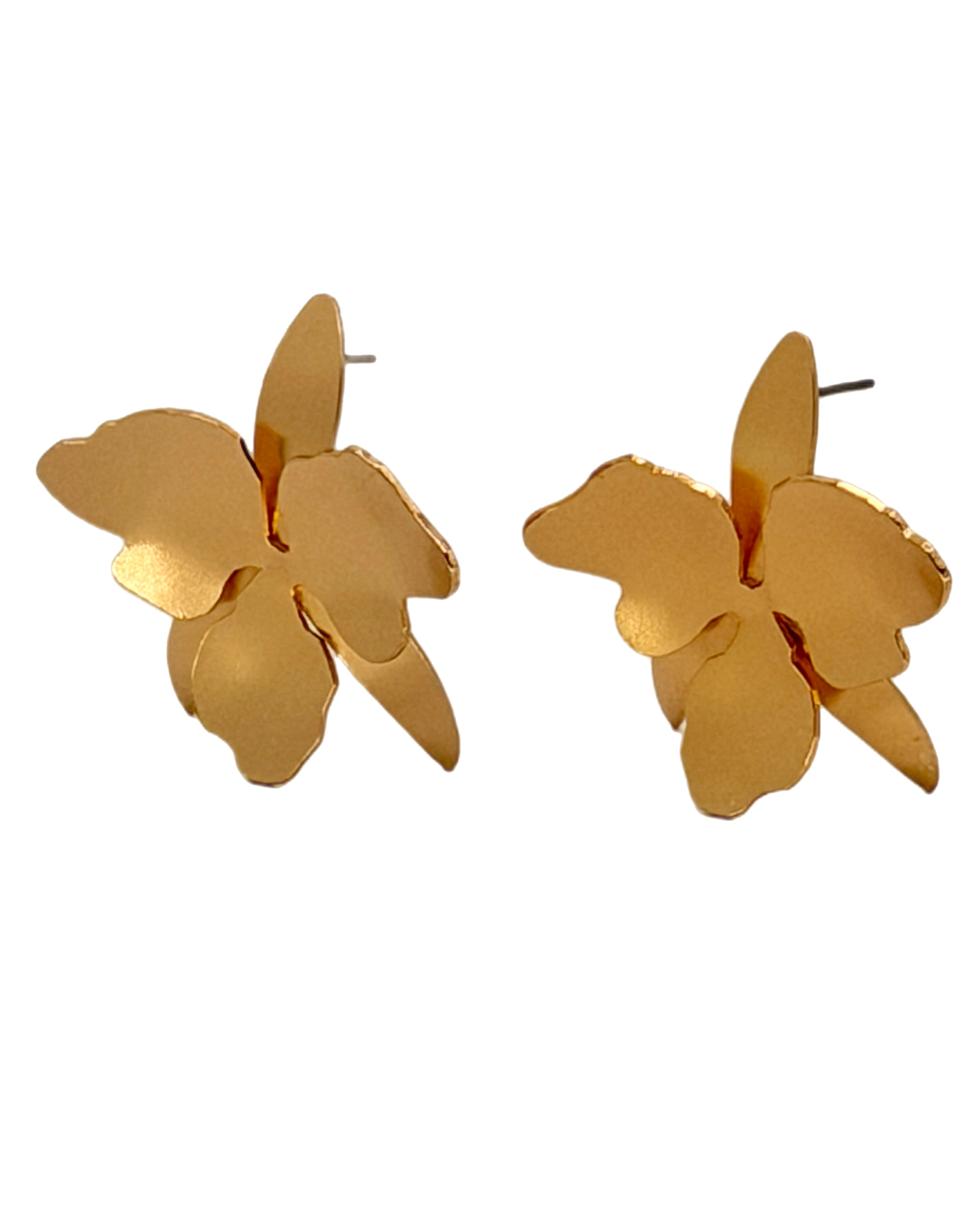 Cattleya Orchid Earrings